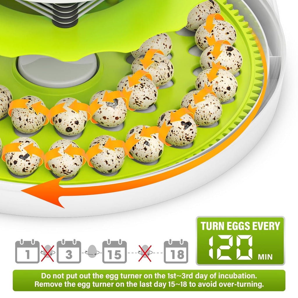 40 Quail Egg Incubator with Automatic Egg Turning Humidity Control Eggs