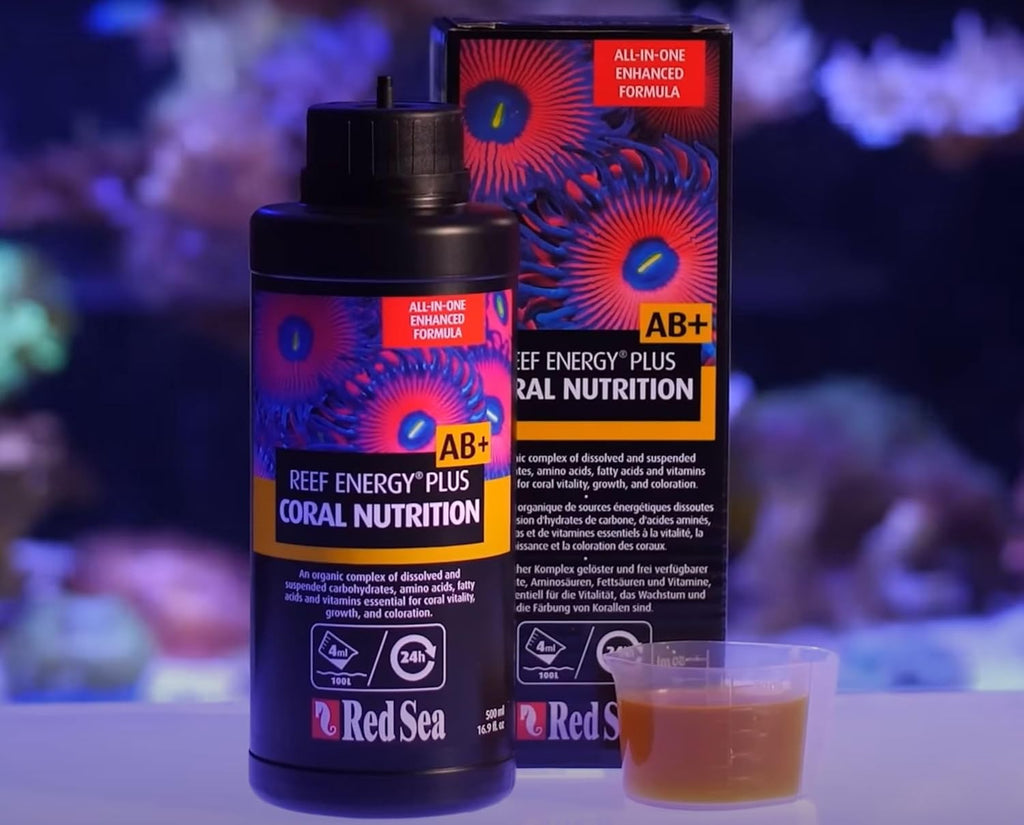 Reef Energy Plus 500ml (AB+) All in One Coral Food for Saltwater Aquarium Marine Reef Tanks | Food for Soft, LPS
