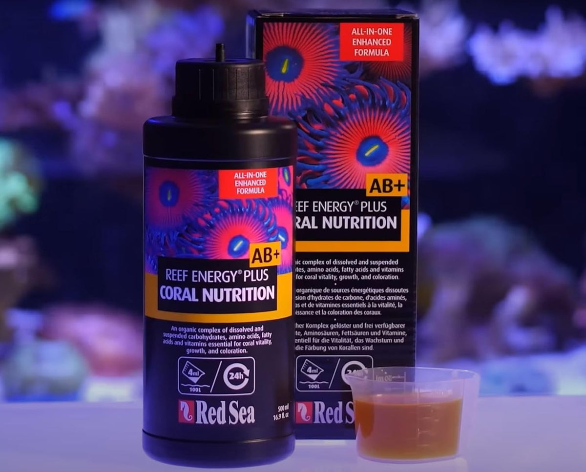 Reef Energy Plus 500ml (AB+) All in One Coral Food for Saltwater Aquarium Marine Reef Tanks | Food for Soft, LPS