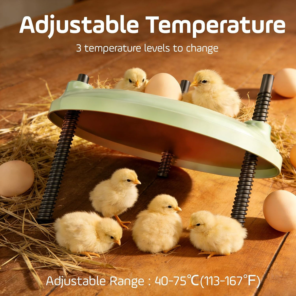 Brooder Plate for Chicks,12inch Metal Heating Plate,Perfectly Adjustable Height & Angle, 35W Chick Warmer for