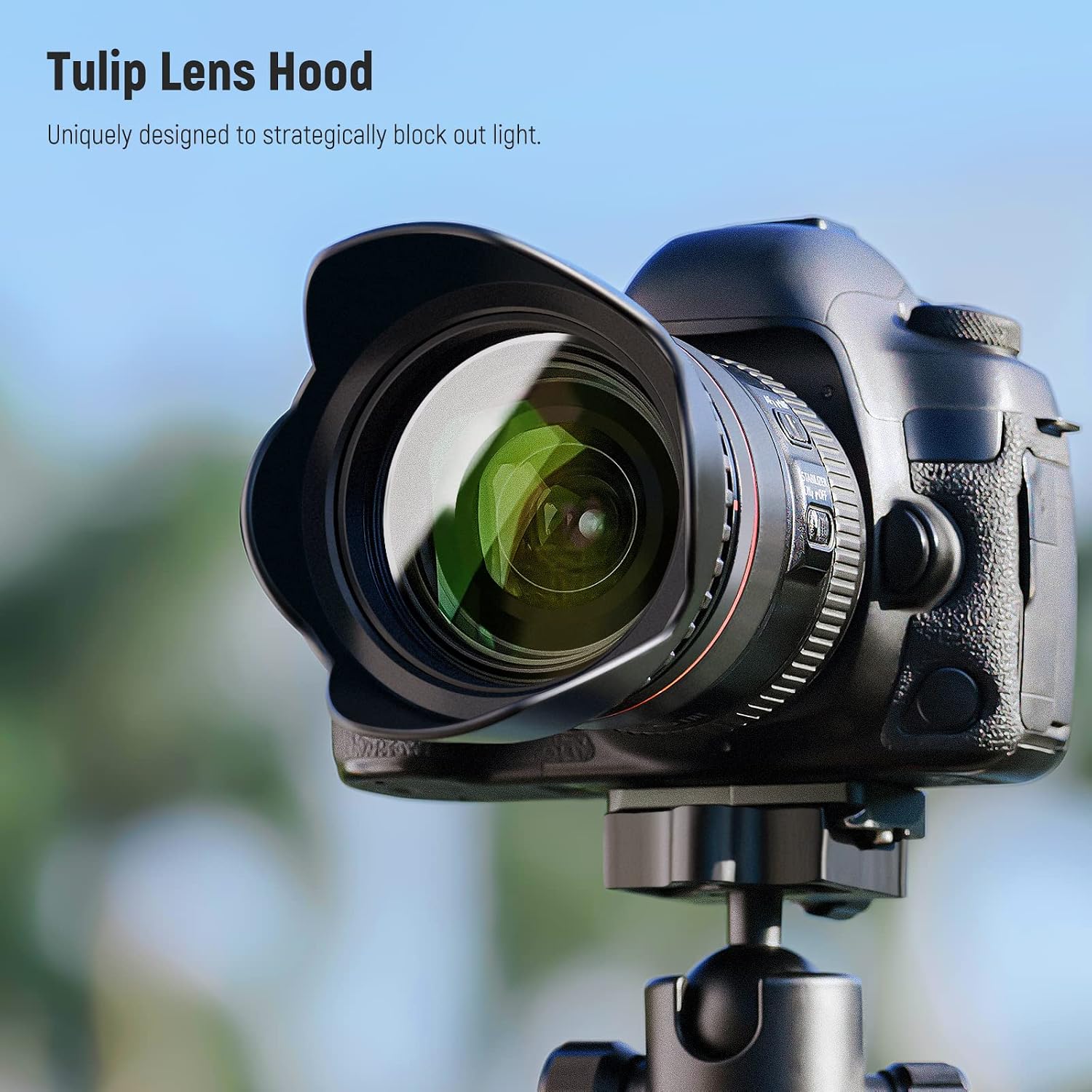58mm ND Lens Filter Kit with Hood & Lens Cap | UV, CPL, FLD, ND2, ND4, ND8, Compatible with Canon Nikon Sony