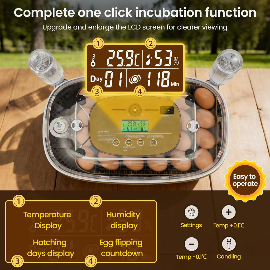 24-Egg Incubator: Auto Egg Turner, Precise Temp Control, Auto Water Refill, Candler | 360° Full Clear View | Fits