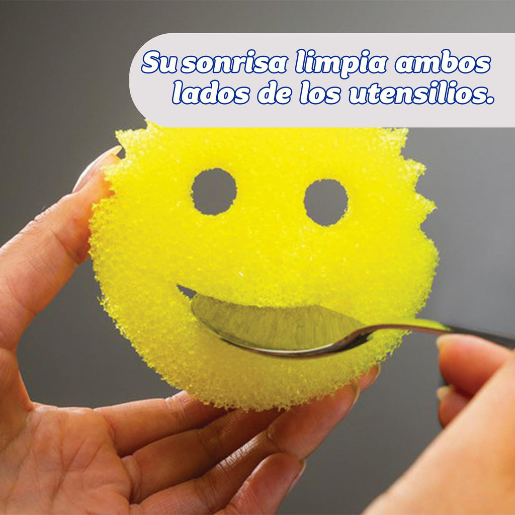 Cleaning Sponge - Pack of 4