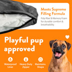 Premium Leatherette Pets Sofa, Espresso, Medium/Large