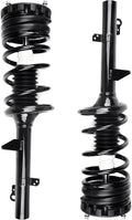 SCITOO Rear Pair Complete Struts fit 1994-2007 for Ford for Taurus