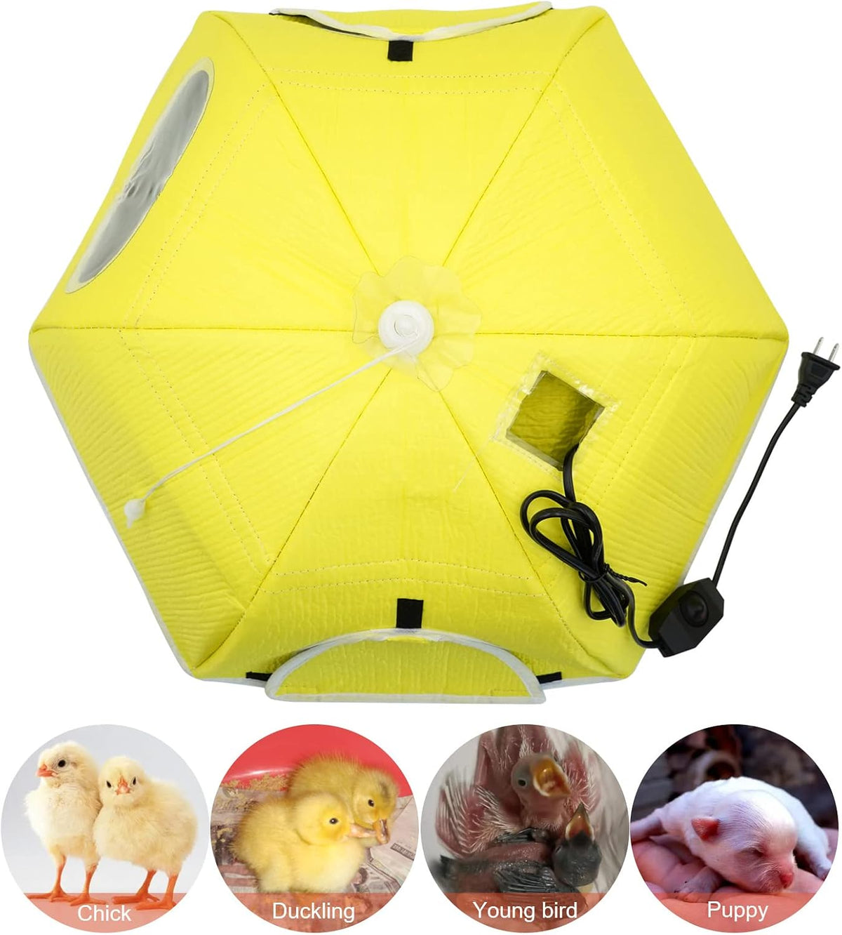 Large Chick Brooder Heating Plate Chick Brooder Box 21.6" Heat up to 50 Chicks, Chick Warmer Chicken Coop Heater