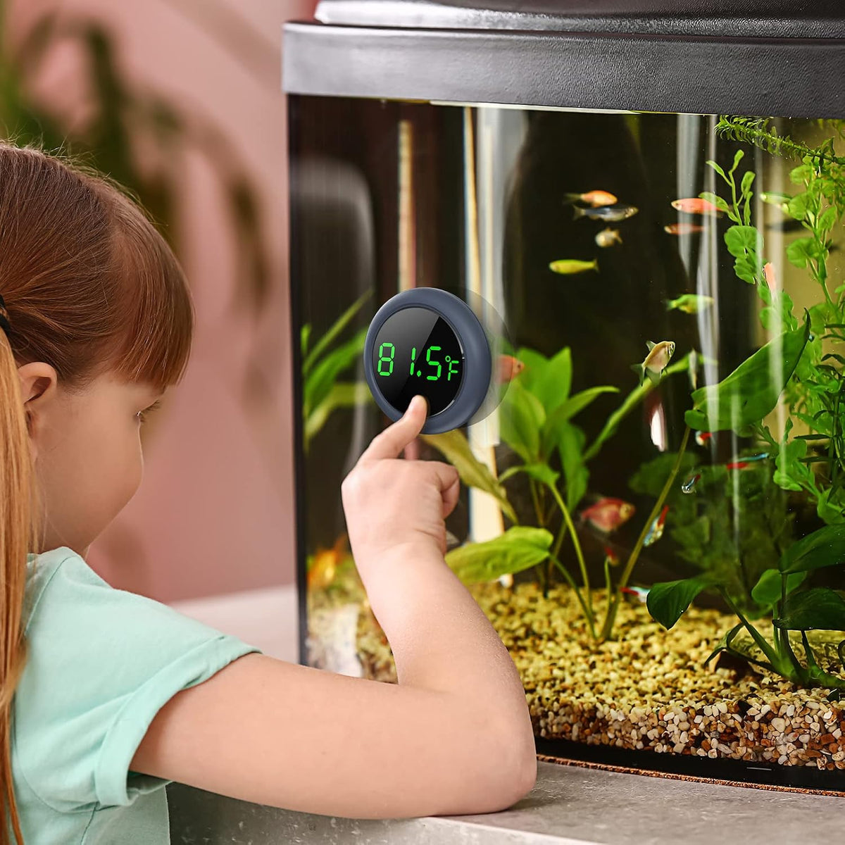 Aquarium Thermometer Digital, Highly Accurate Fish Tank Thermometer