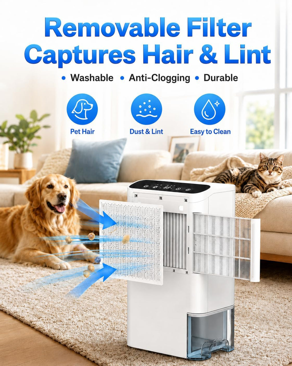 Dehumidifiers for Home & Basement, 2500 Sq.Ft Small Dehumidifier with Aroma Tray, 5ft Drain Hose, 74oz Water Tank