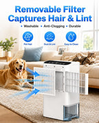 Dehumidifiers for Home & Basement, 2500 Sq.Ft Small Dehumidifier with Aroma Tray, 5ft Drain Hose, 74oz Water Tank