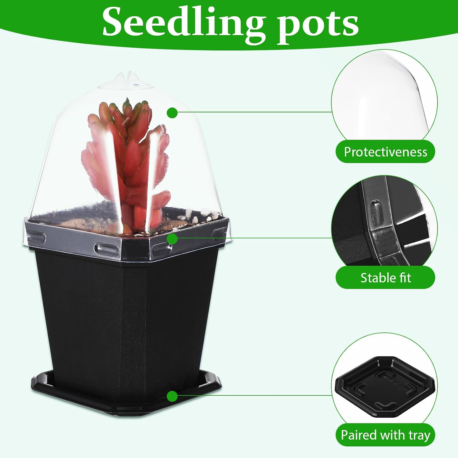 Black Plant Nursery Pots: 5Pcs Seeding Starter Pots, 3 Square Nursery Pot with Humidity Dome, Plastic Plant Container