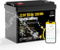 12V 100Ah LiFePO4 Marine Battery with Bluetooth APP, 1280Wh Deep Cycle Trolling Motor Battery, Built-in 100A BMS