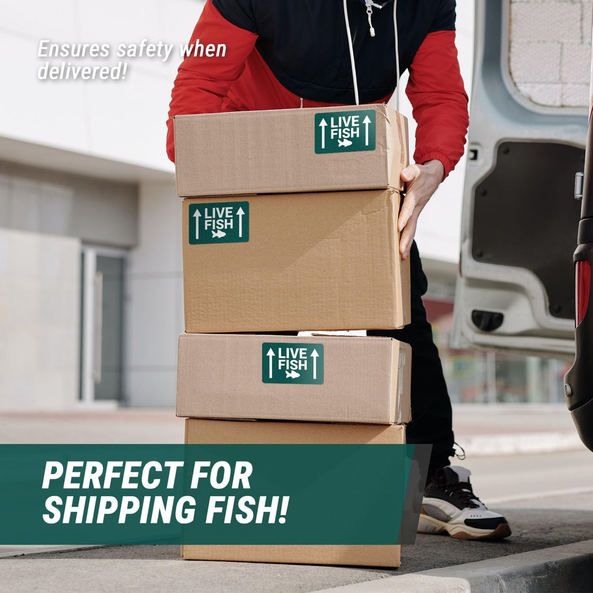 6 x 4 inch - Live Fish: This Side Up, Live Fish Stickers with UP Arrow (300 Labels, Green & White) for Shipping &