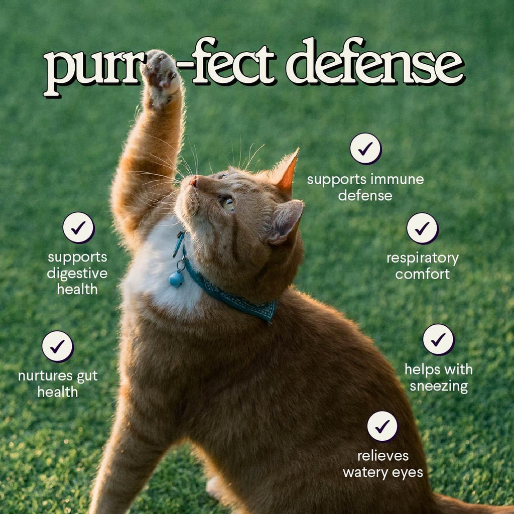 Premium L-Lysine Supplement for Cats – for Immune Support, Sneezing, Runny Nose, Watery Eyes & Nasal Health– 60ML