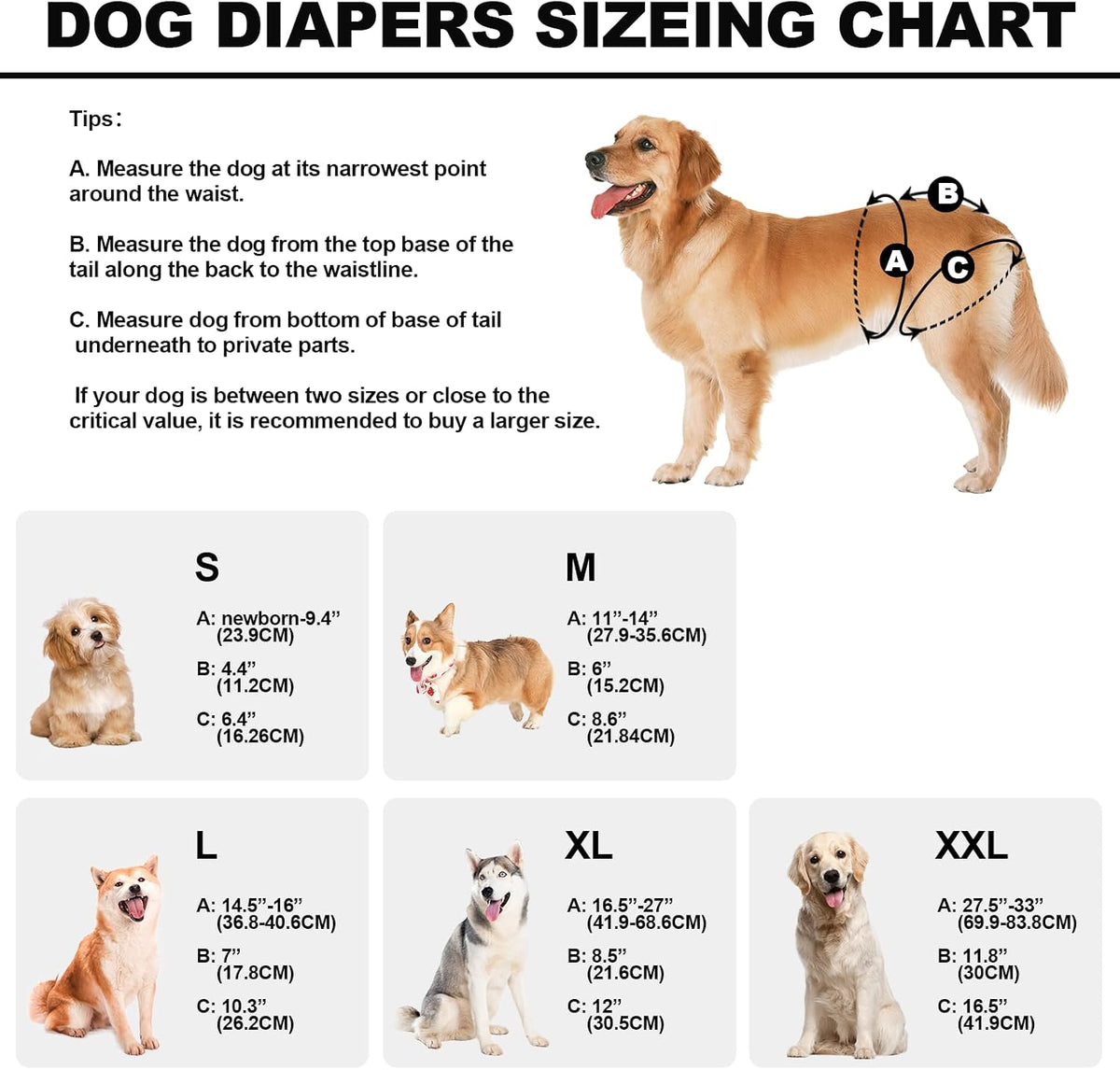 Reusable Dog Diapers Female Washable, Premium Doggie Diaper for Dogs, Pack of 3, Highly Absorbent Small Dog Diaper