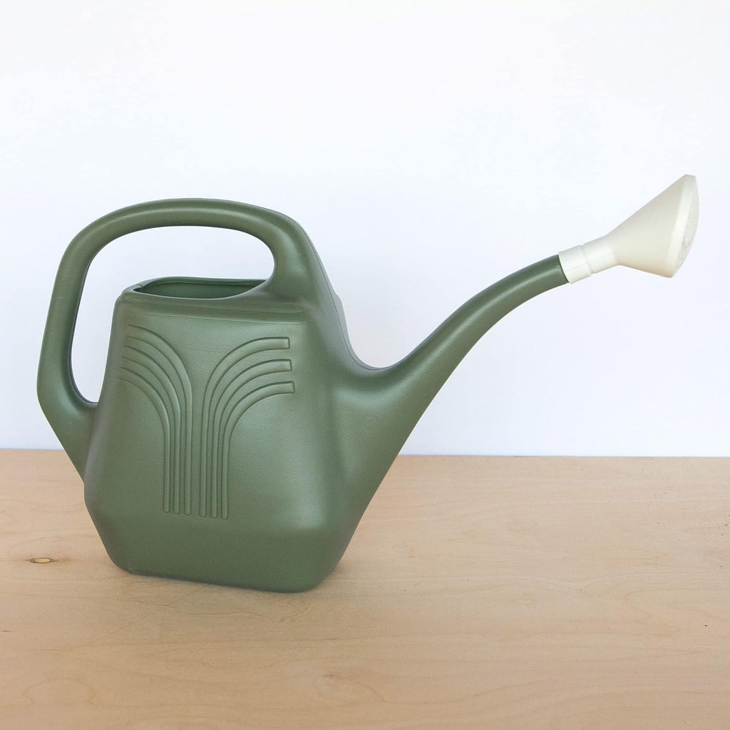 Promo Watering Can: 2 Gallon Capacity - Living Green - Durable Resin, Removable Nozzle Spout, Two Handles, Wide Mouth