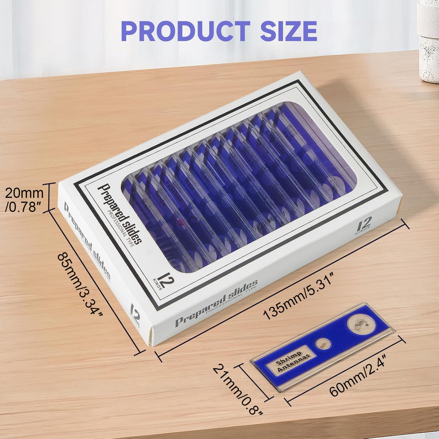 48Pcs Prepared Microscope Slides Specimen Set for Stereo Microscope | Safe Plastic Biological Samples of Animals