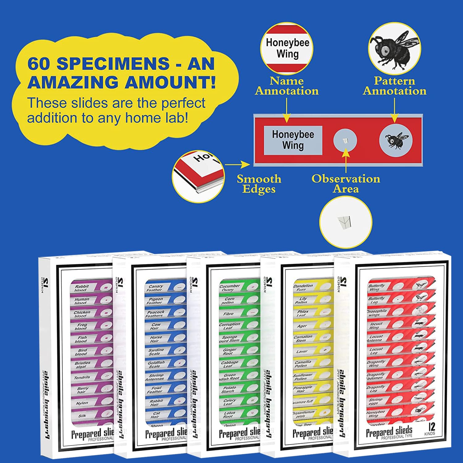 60Pcs Prepared Microscope Slides Specimen Set for Stereo Microscope | Safe Plastic Biological Samples of Animals