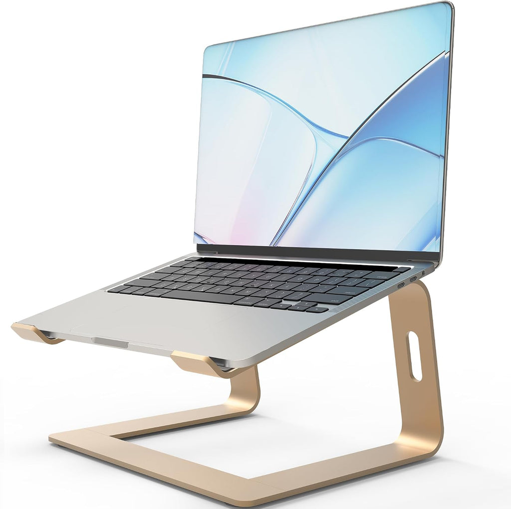 Ergonomic Laptop Stand, Premium 5mm Aluminum Riser for 10-15.6 Inch Notebook Computer, Tool-Free Detachable Elevator