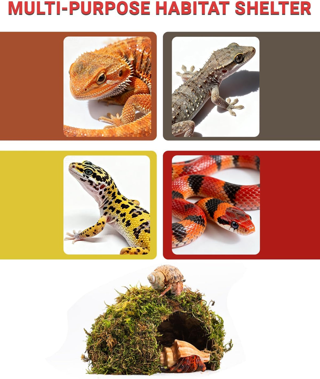 Reptile Hides and Caves – Leopard Gecko Tank Accessories, Natural Dome Reptile Cave & Shelter, Gecko Tank Accessories