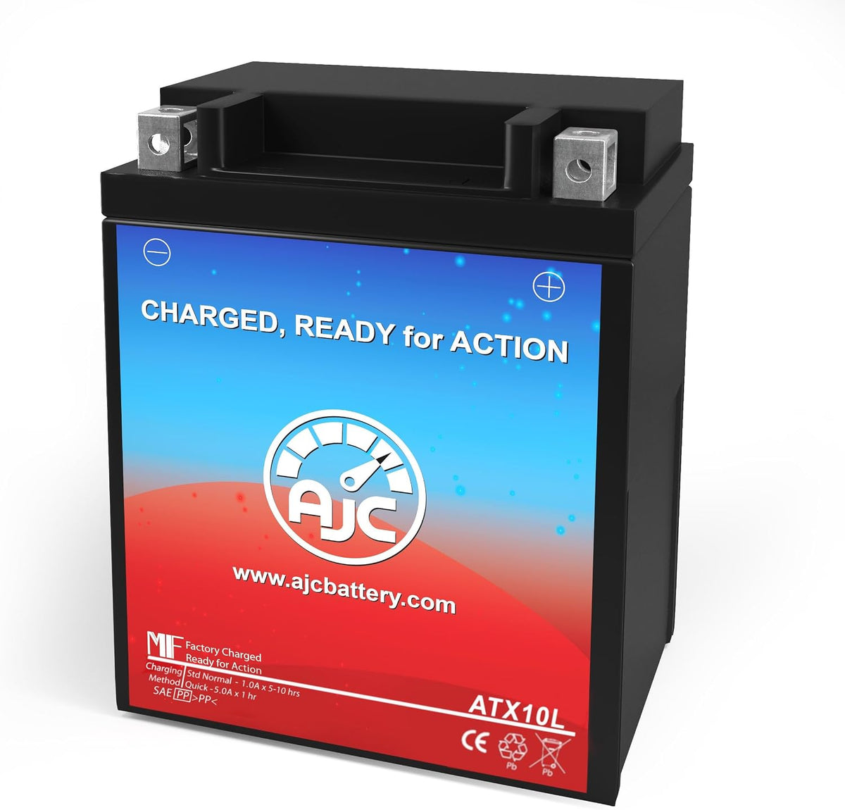 AJC Battery Compatible with Yamaha XV250 V Star 250 Motorcycle Battery (2020)