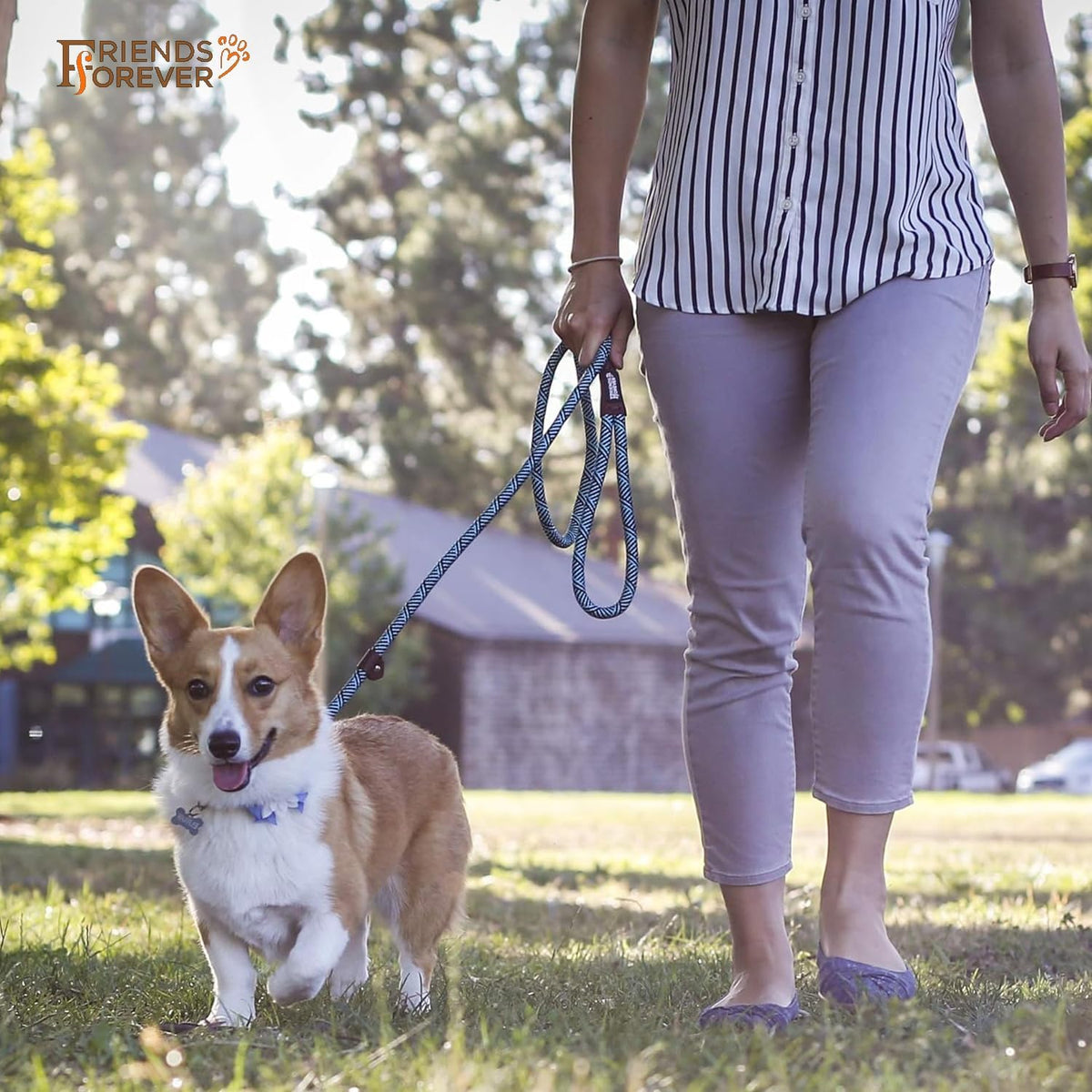 Extremely Durable Dog Rope Leash, Premium Quality Training Slip Lead, Reflective, Thick Heavy Duty, Sturdy, No Pull