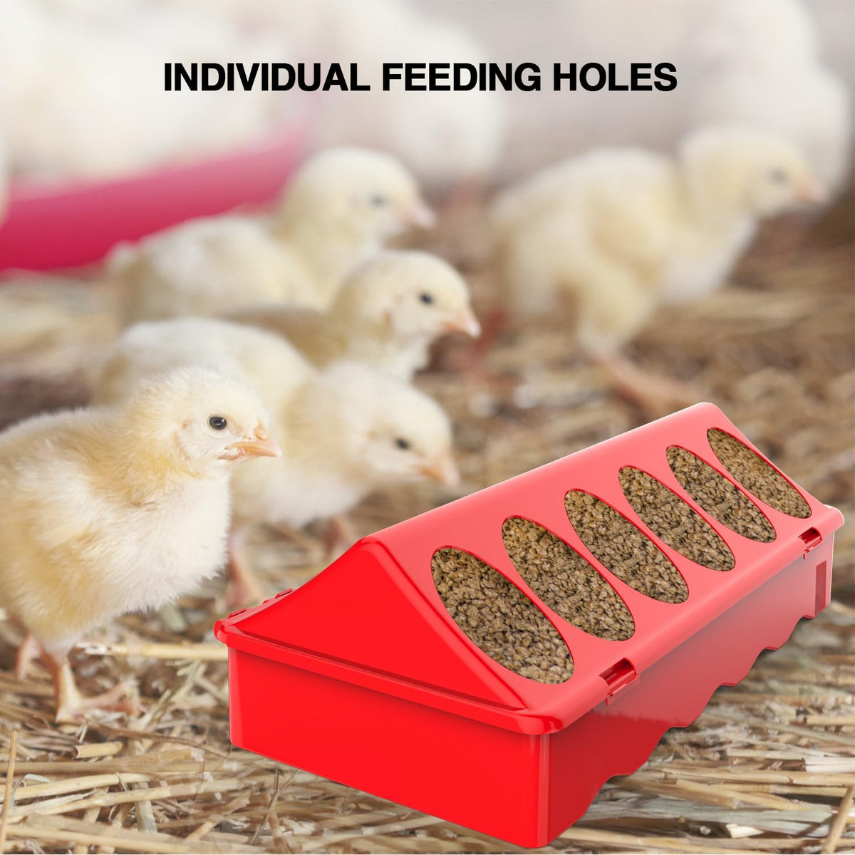 Chick Feeder and Waterer Kit, Chick Feeder Trough and 0.3 Gallon Chick Waterer, No Waste Baby Chick Starter Kit for