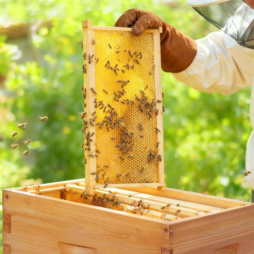 20 Pack Deep Beehive Frames Kit with Durable Wooden Frames and Food-Grade Beeswax-Coated Plastic Foundations for