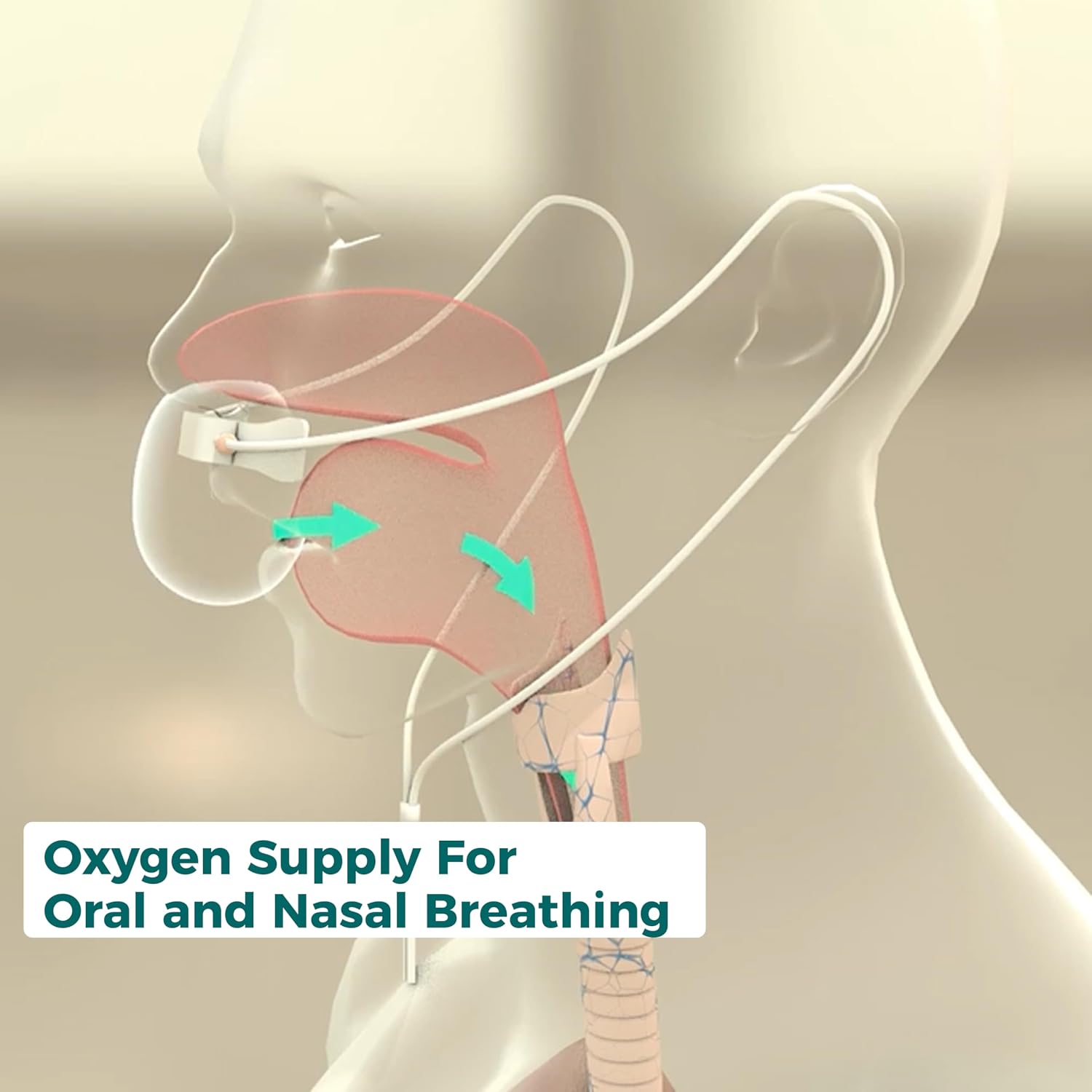 NasalOxy - Advanced Low-Flow Nasal Cannula | Comfort & Efficiency in Oxygen Delivery | COPD, Asthma, Sleep Apnea |