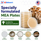 Malt Extract Agar (MEA) Plates, 10 Prepoured Plates