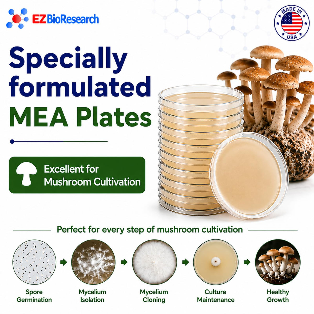 Malt Extract Agar (MEA) Plates, 10 Prepoured Plates