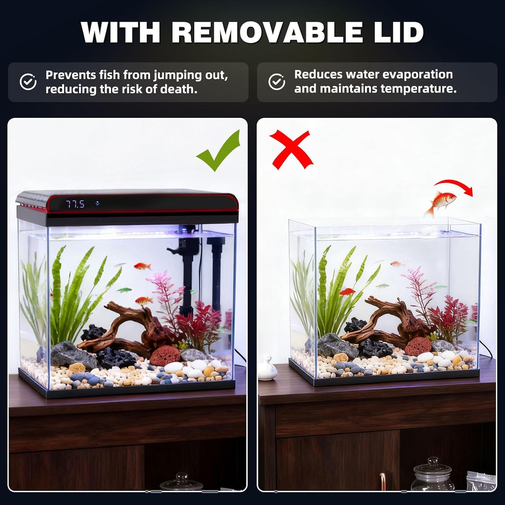 10 Gallon Glass Fish Tank, Aquarium Starter Kit, Kid Gift Ideas
