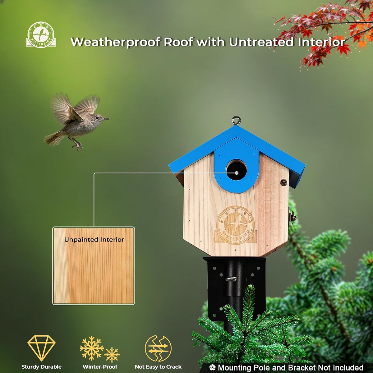 Wren Bird Houses for Outside, Bird House Warming Gifts, Blue