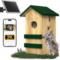 Owl Nesting Box with Camera,4G Cellular,Screech Owl House