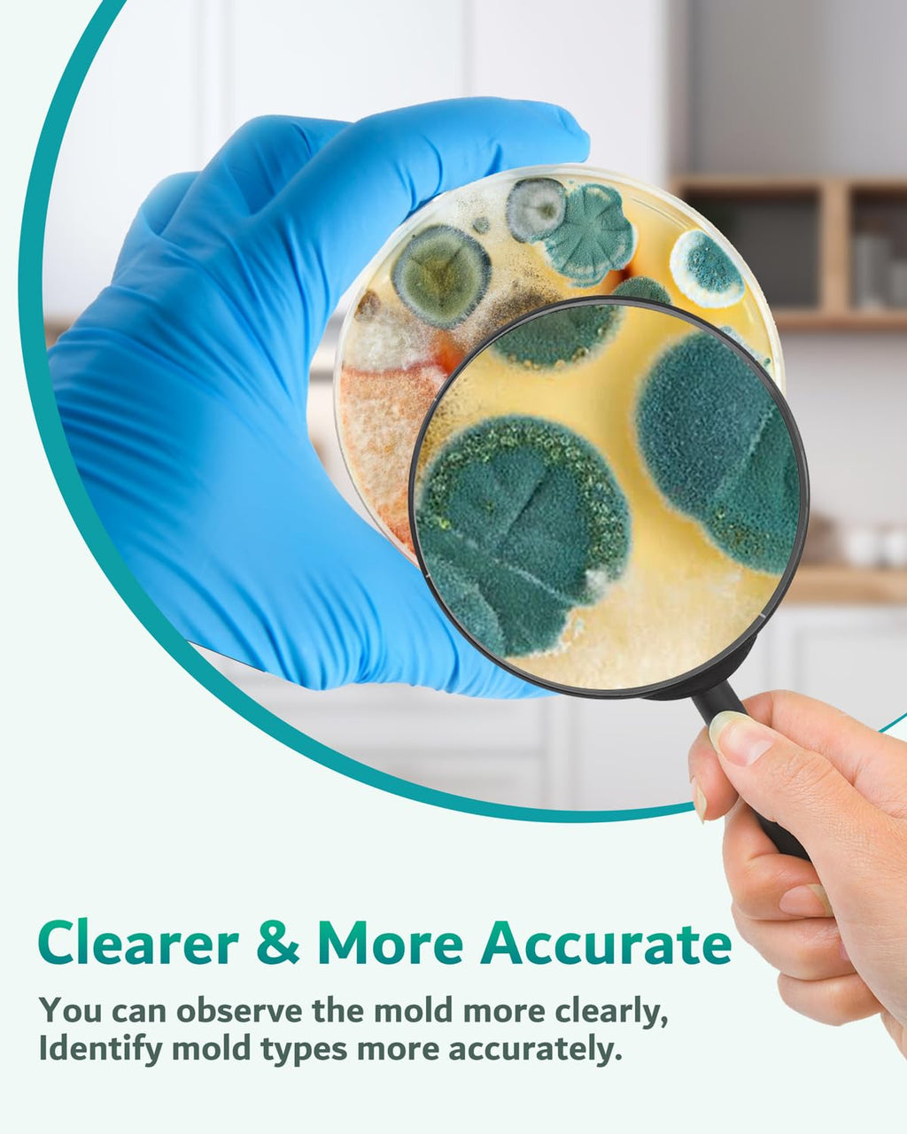 Mold Test Kit for Home, 8 Detection Tests for HVAC, Surfaces & Indoor Air | DIY Black Mold Detector, Free Lab Results