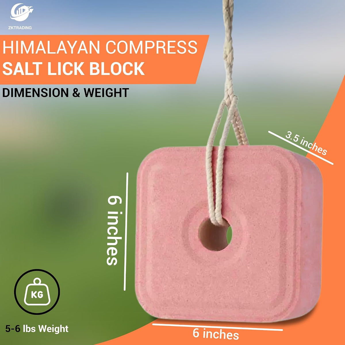 Pack of 4 Compressed 7-8 Lbs Himalayan Salt Licks for Horse Deer