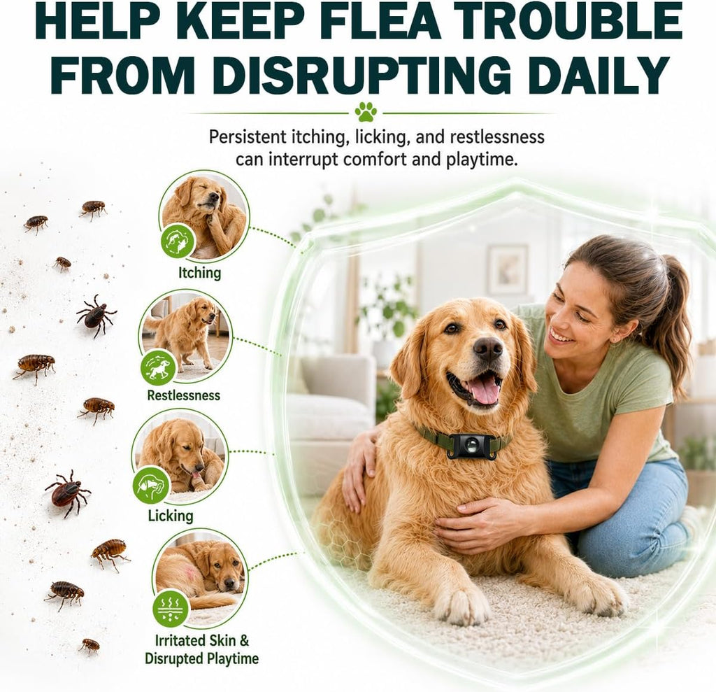 Flea and Tick Prevention Pendant for Dogs, Long Lasting 30 Days Protection, Dog Flea and Tick Collar Alternative with