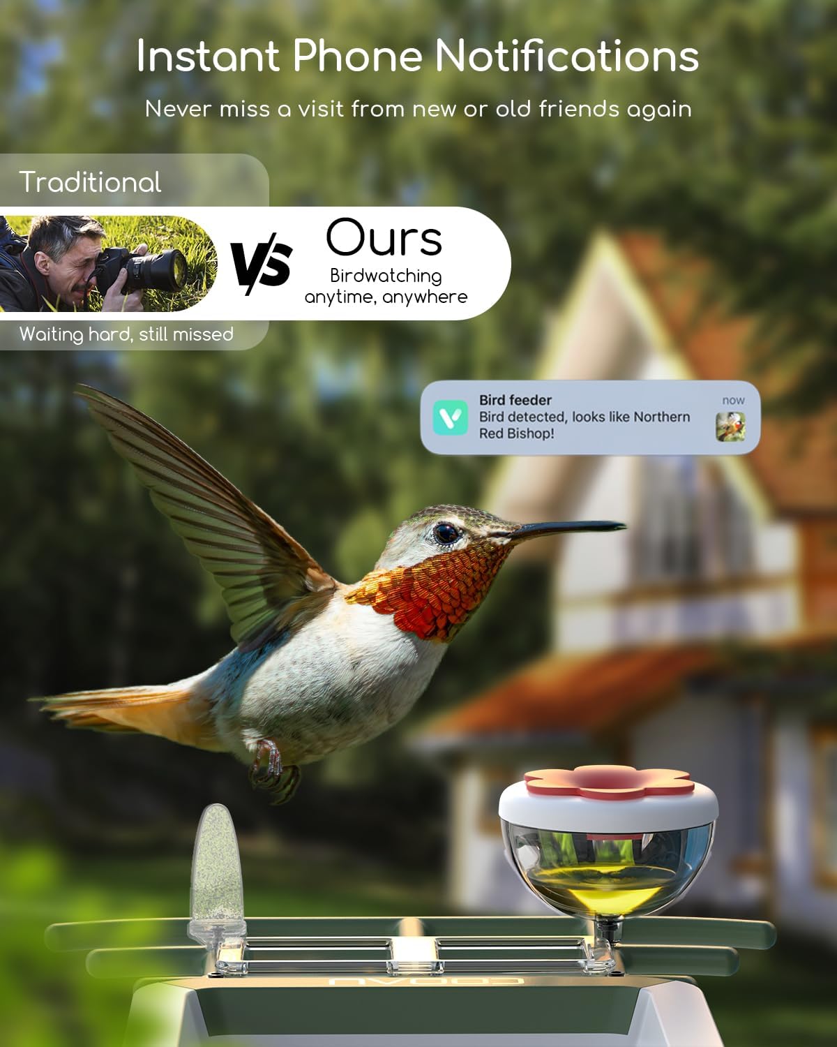 5MP Smart Bird Feeder with Camera, 30% Faster Solar Charging