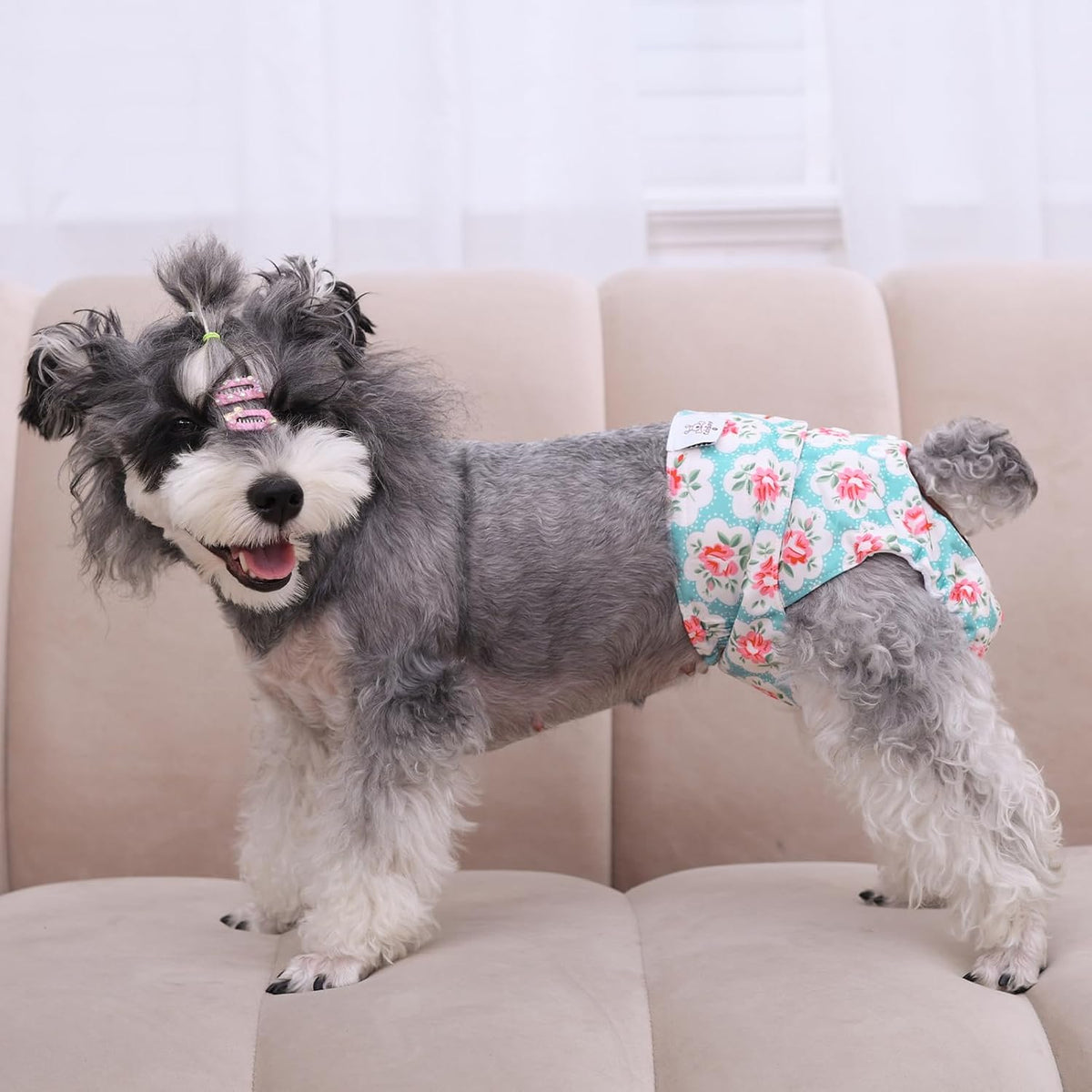 Dog Diapers Female Washable Small Medium Large 3 Pack Reusable Doggie Diapers Puppy Period Pants for Doggy Heat Cycle