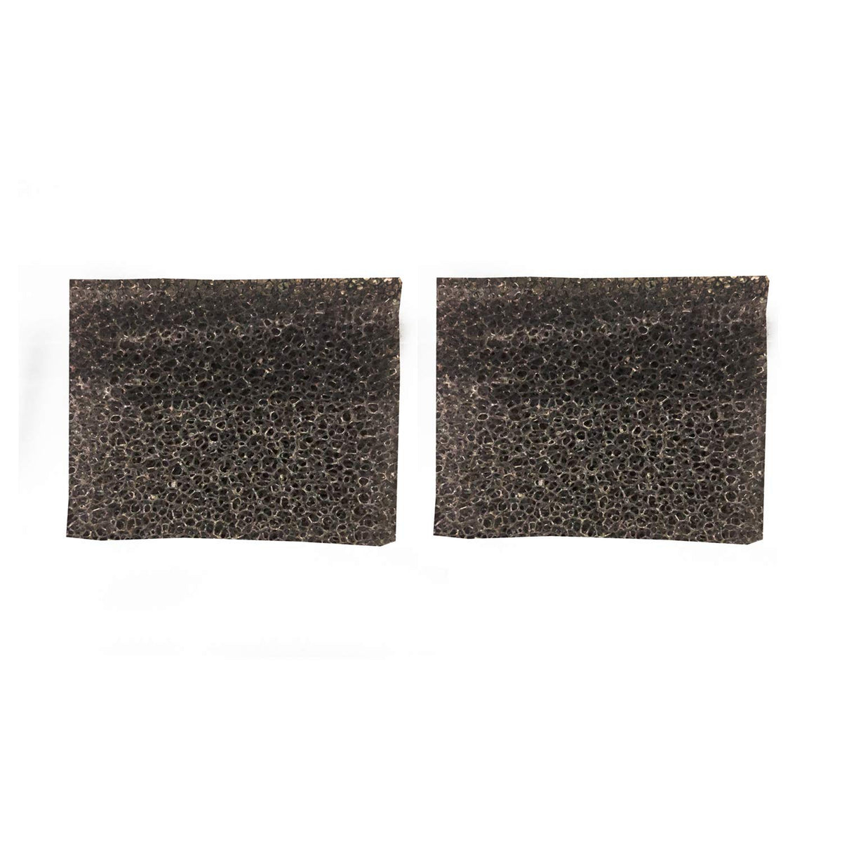 Replacement Part For Eureka Secondary Light Speed 5700/5800 Series Filter (Black) (2 Foams) # compare to part 71480