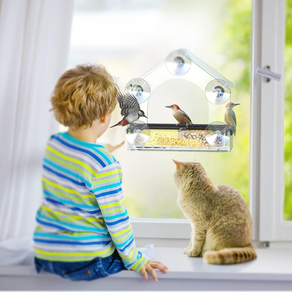 Clear Window Bird Feeder with 5 Extra Strong Suction Cups, DY-SKTY Sturdy and Durable Acrylic Birdfeeders for Viewing