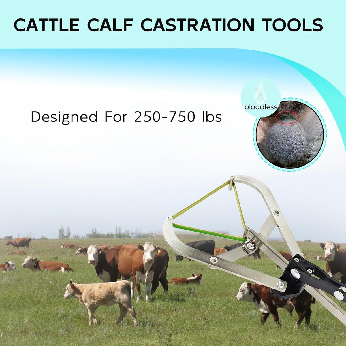 Cattle Banding Tools Calves Castration Kit, with a Large Bander and 25 pcs Bands