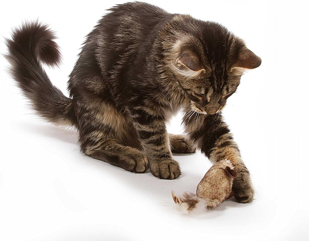 OurPet's Play-N-Squeak Twice the Mice Cat Toy, 2pc (Interactive Catnip Toy, Real Mouse Electronic Sound)