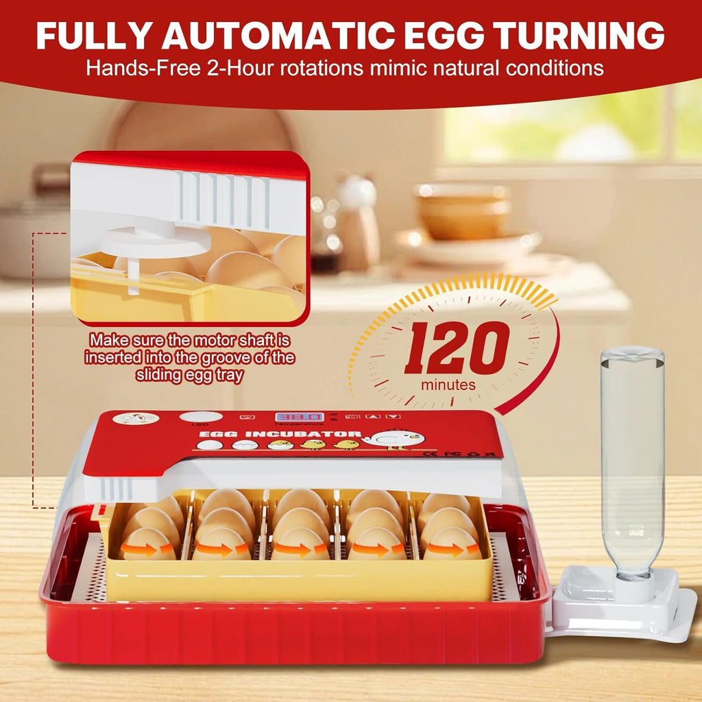 Incubators for Hatching Eggs 15-35 Eggs Incubator with Automatic Egg Turning and ℉Temperature Display LED Candler