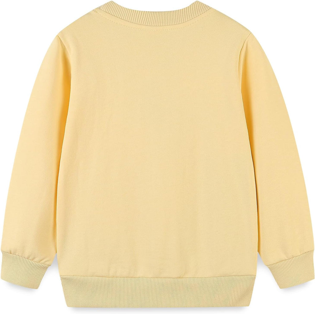 Toddler Girl Sweatshirt Clothes Outfit,Cotton Crewneck Clothing