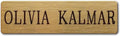 TACK Trunk Plate Solid Brass or Nickel Silver 4" x 1 1/8" Custom Engraved