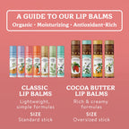Pink Grapefruit Classic Organic Lip Balm, 4 Pack