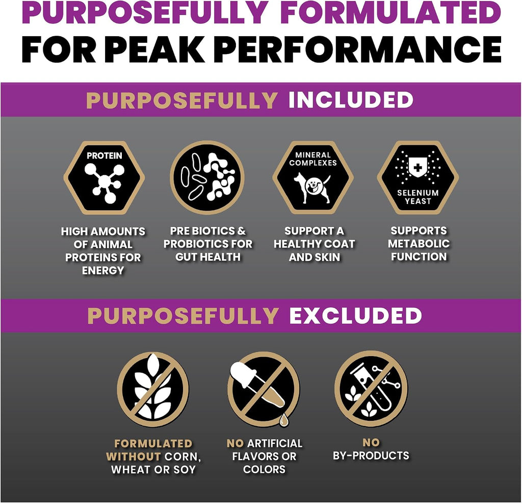 Professional Dry Dog Food - Gluten-Free Active Dog Kibble, 30 lb