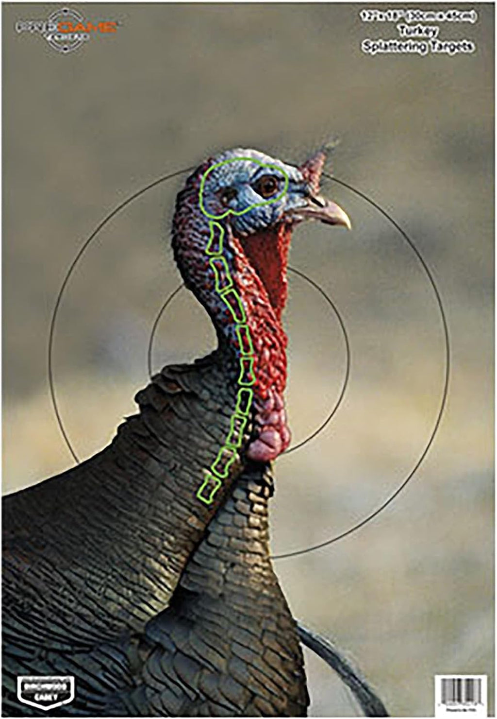 Pregame 12" x 18" Paper Shooting Targets