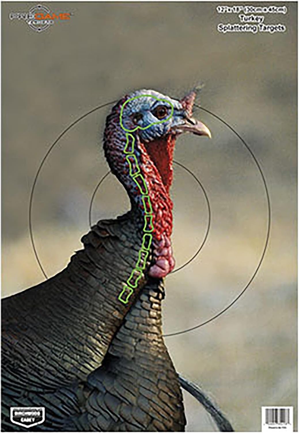 Pregame 12" x 18" Paper Shooting Targets