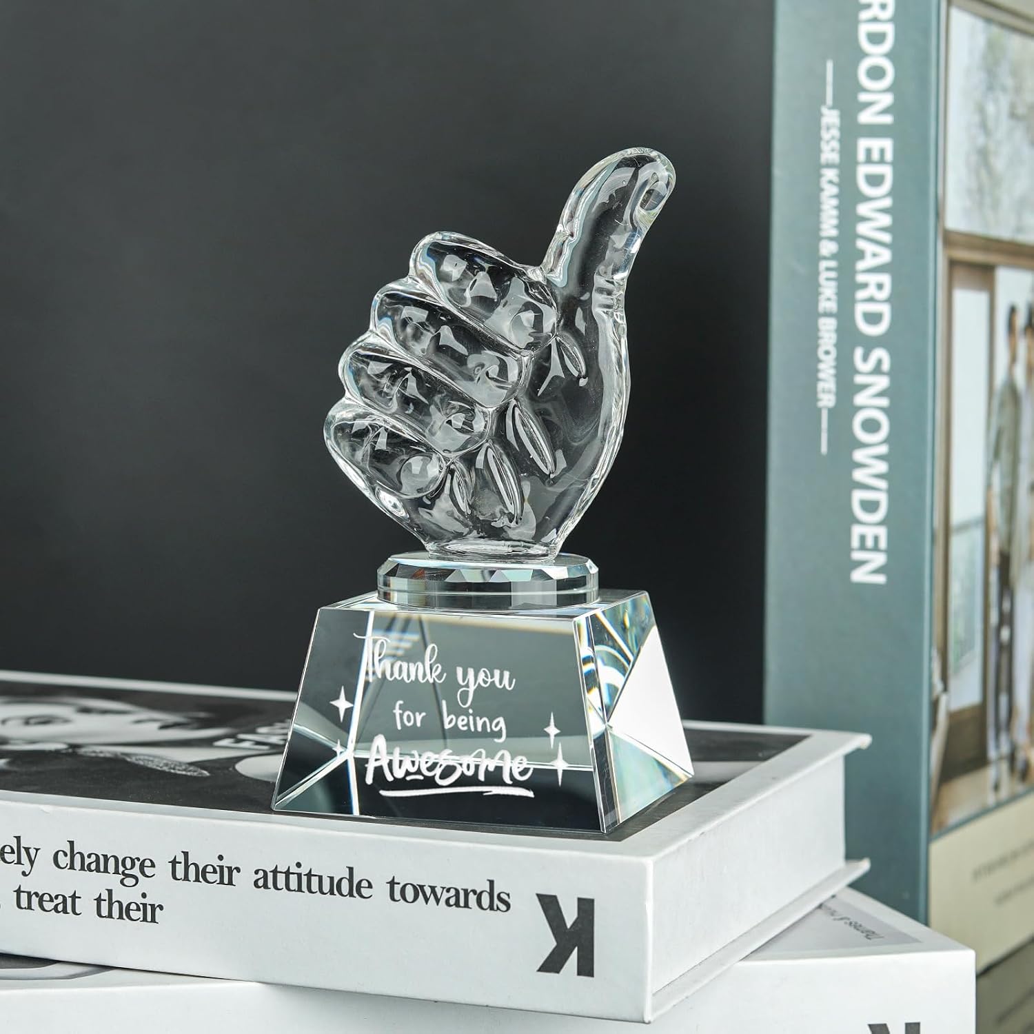 Employee Appreciation Gifts Crystal Awards with Thumbs Up, Thank You for Being Awesome Gifts for Staff, Coworkers